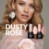 Claresa DUSTY ROSE 1 - Afbeelding 6