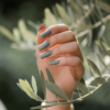 SAUTE NAILS Hybride Nagellak WINE NOT? Set van 5+1 gratis - Afbeelding 2