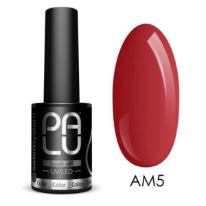 PALU  Amsterdam AM5 11g